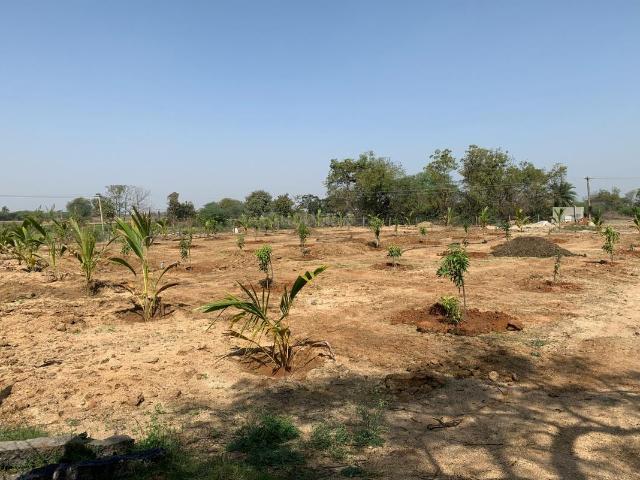 Residential Plot in Yeida for resale Greater Noida. The reference number is 20381349