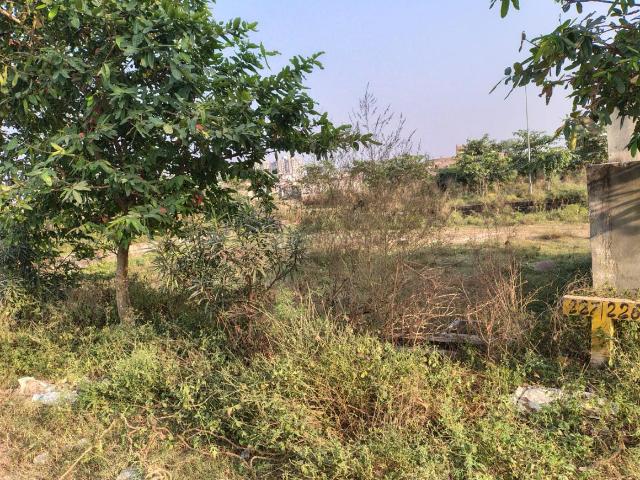 Residential Plot in Yeida for resale Greater Noida. The reference number is 20332417