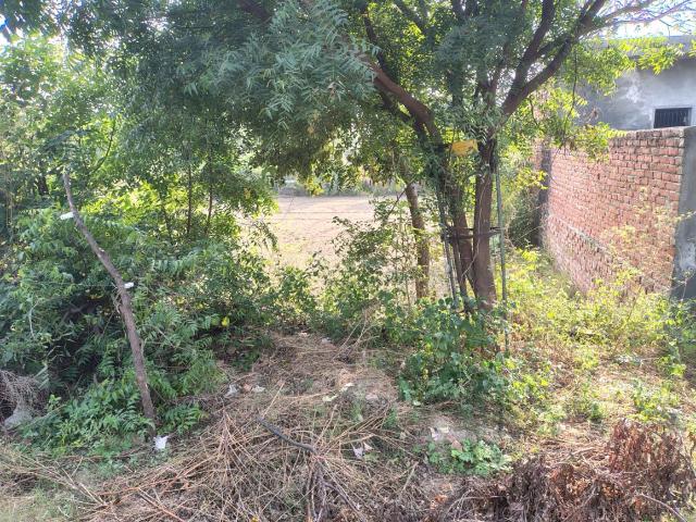 Residential Plot in Yeida for resale Greater Noida. The reference number is 20332556