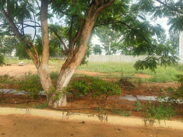 Residential Plot in Yelahanka for resale Bengaluru. The reference number is 20554937