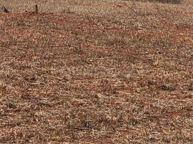 Residential Plot in Yeliyur for resale Bengaluru. The reference number is 19863508