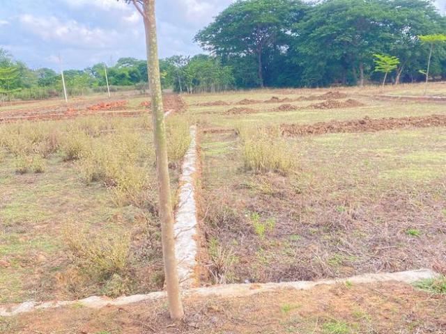 Residential Plot in 42 Mouza for resale Cuttack. The reference number is 20306927