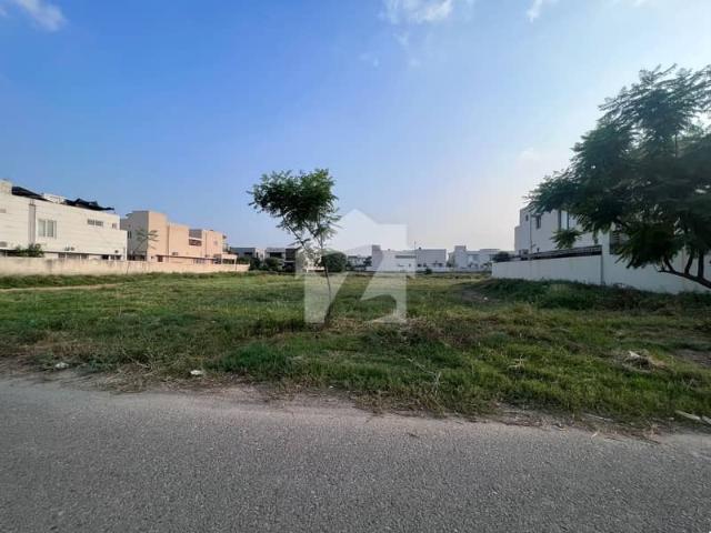 Residential plot y 965 for sale | 1 kanal prime land available in dha phase 7 block y