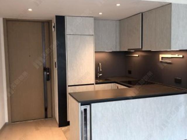 residential property in 大埔