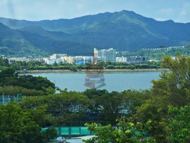 residential property in 大埔