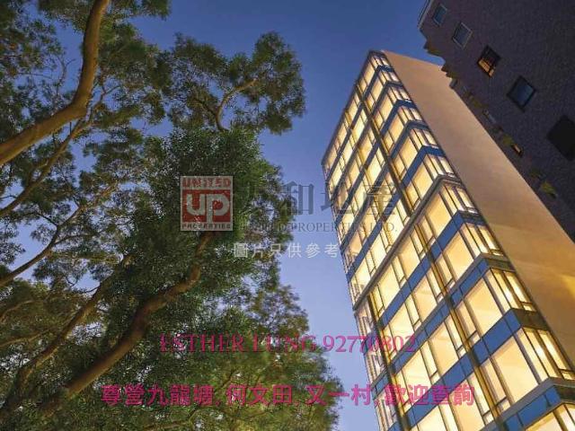 residential property in 何文田