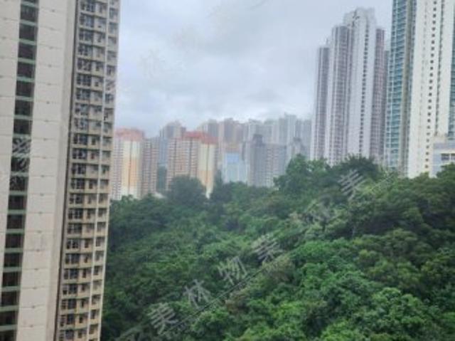 residential property in 藍田