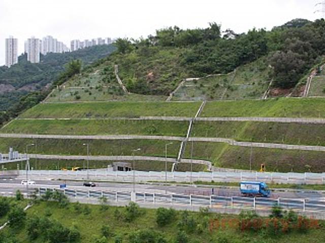 residential property in 荔枝角
