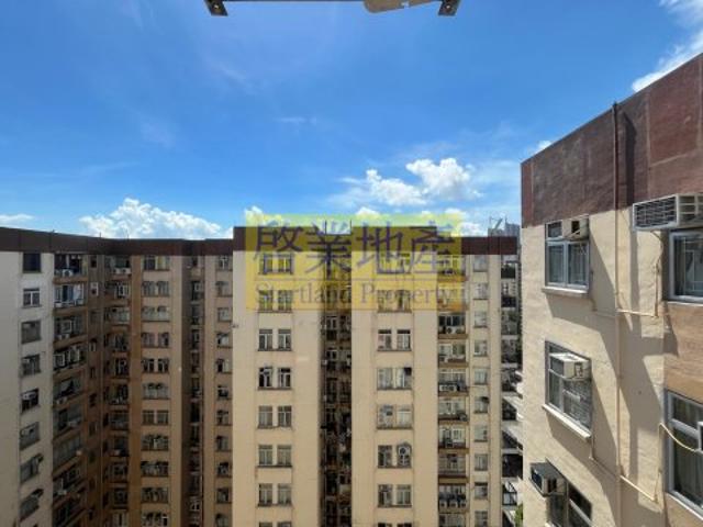 residential property in 荔枝角