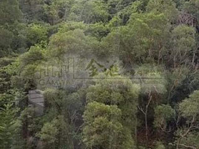 residential property in 牛池灣