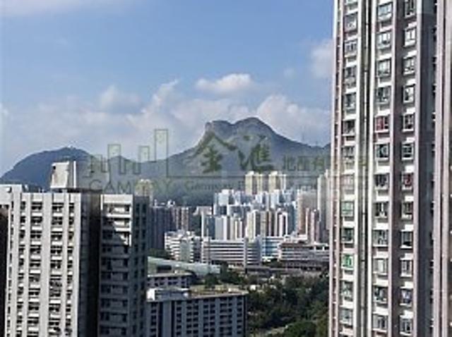 residential property in 牛池灣