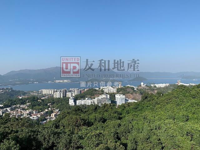 residential property in 沙田