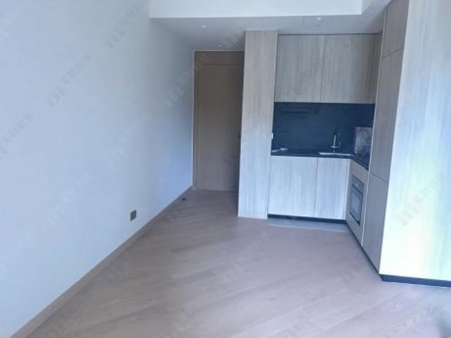 residential property in 沙田