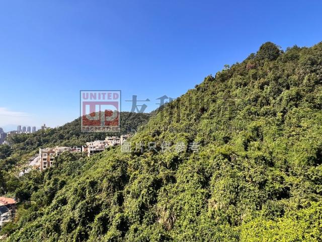 residential property in 石硤尾