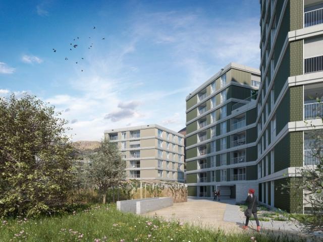 Residenza Radice Accogliente monolocale