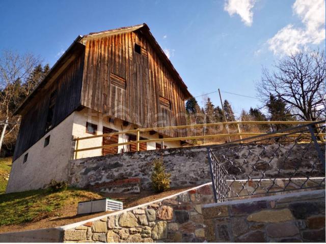 Residenziale in vendita a Ravascletto strada di Ciambalp