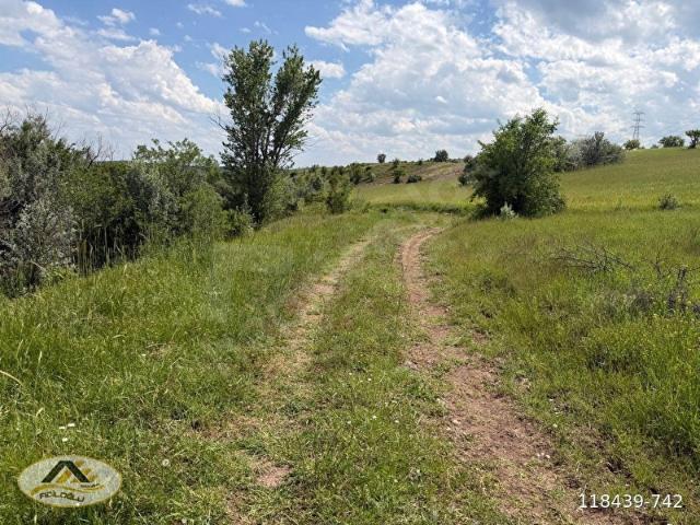 RESMİ YOLU OLAN 39,243 M MÜSTAKİL TAPULU TARLA