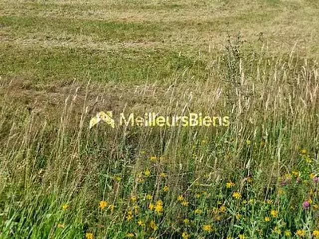 Retiers 35240 Achat / Vente terrain