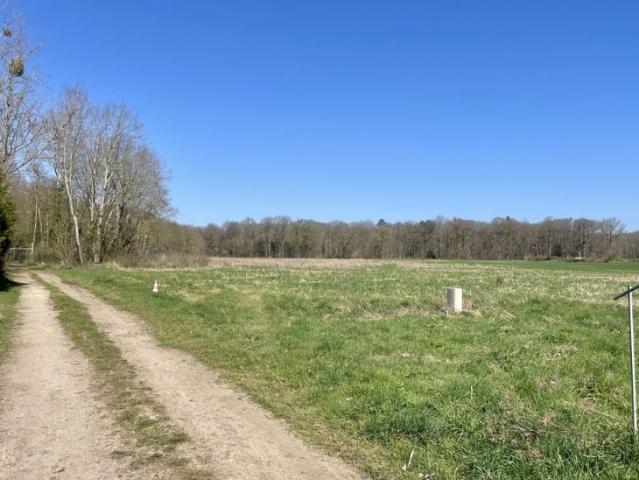 Reuilly Vente Terrain 27