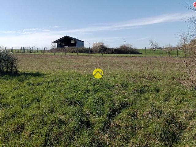 Reuilly Vente Terrain 36