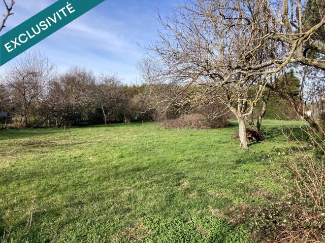 Revel Vente Terrain 31