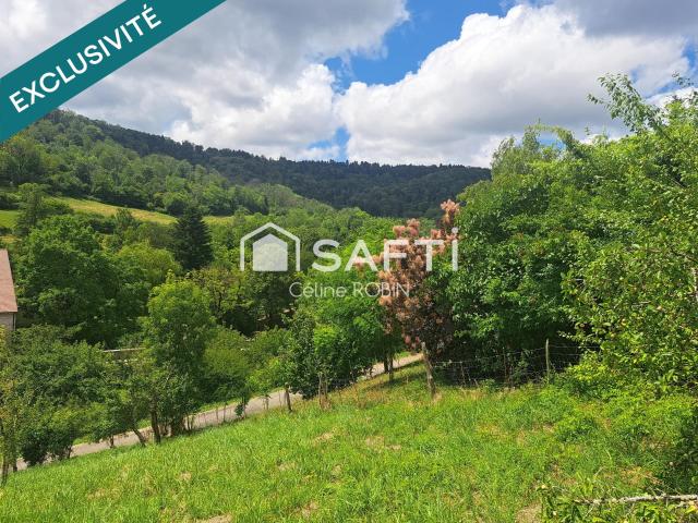 Revigny Vente Terrain 39