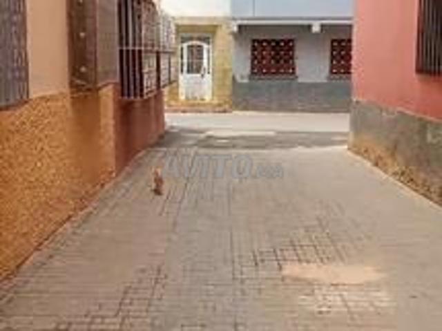 Rez de chaussée à vendre