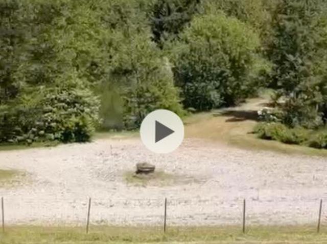 Rez de jardin Mise à prix 60 000