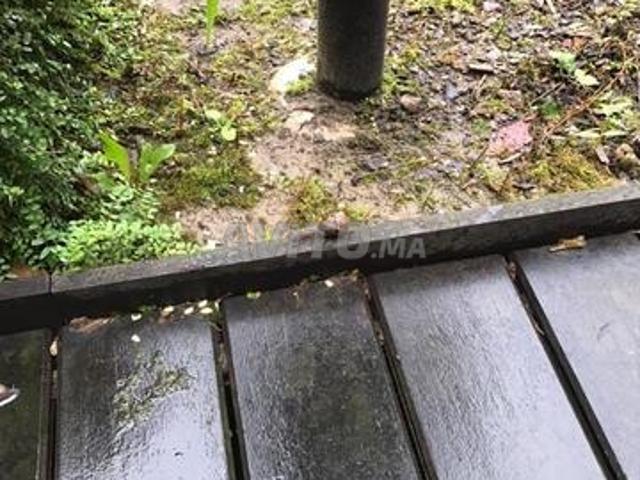 Rez de jardin d'exception