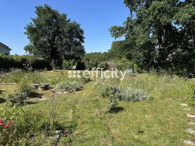 Rezé Vente Terrain 44