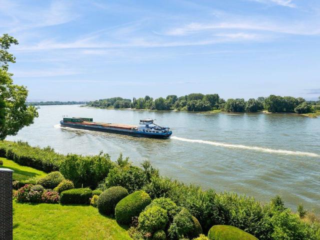 Rheinlage pur, unverbaubarer Panoramablick auf Rhein und Auen