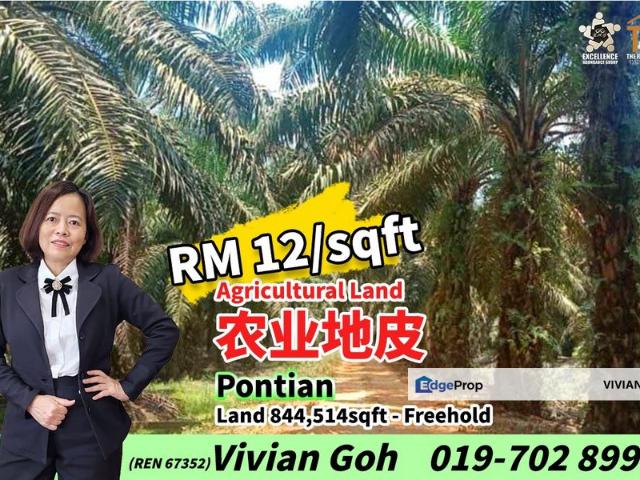 Rimba Terjun Pontian