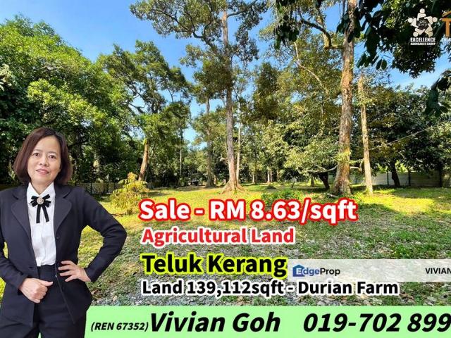 Rimba Terjun Pontian
