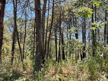 Rincon de los pastores terreno arbolado hermoso 5275 metros