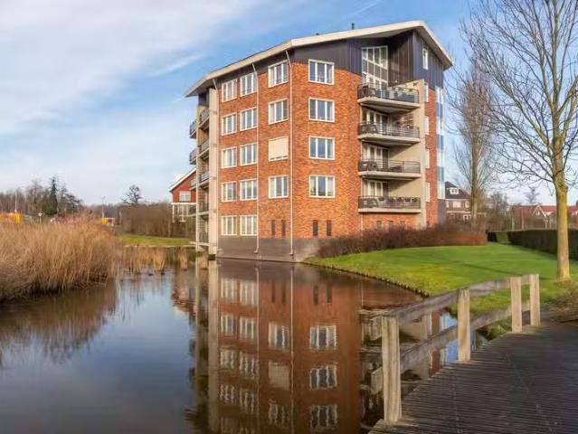 Ringslang 163 Amstelveen