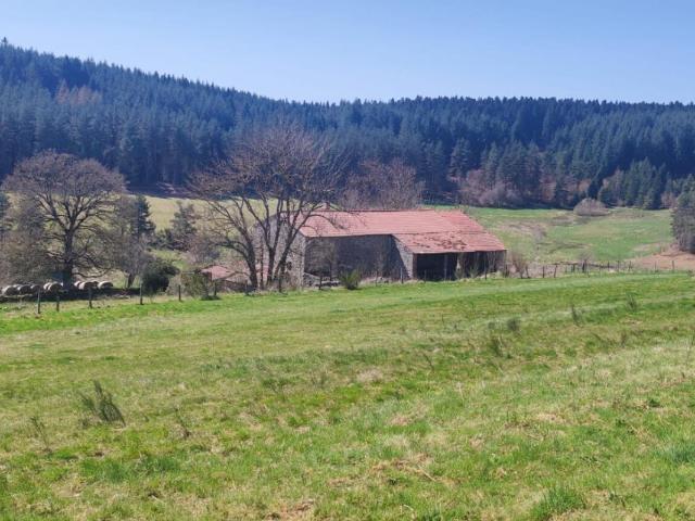Riotord Vente Terrain 43
