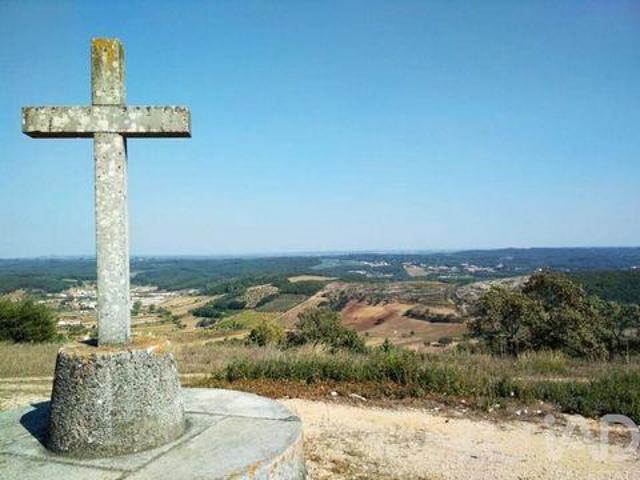 Rio Maior Santarem 104964087