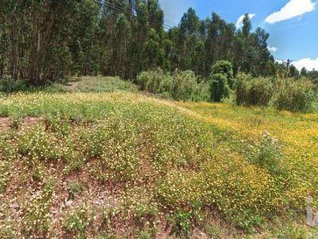 Rio Maior Santarem 103360205