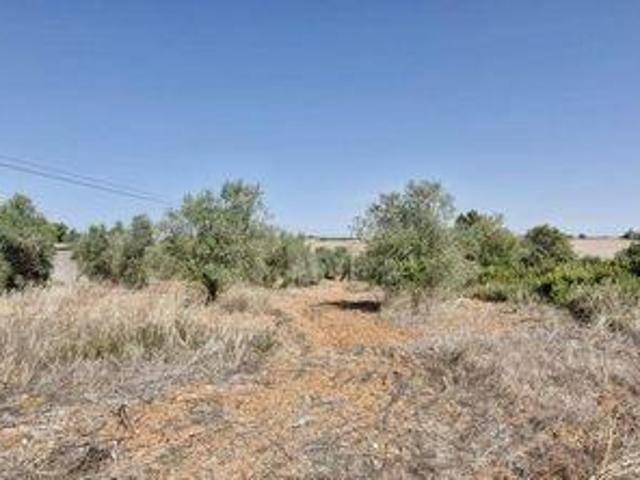 Rio Maior Santarem 95717270