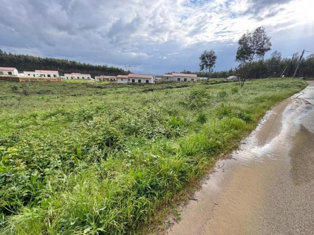 Rio Maior Santarém 96891329