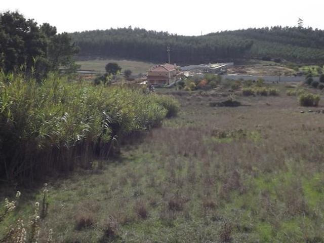 Rio Maior Rio Maior 102741818