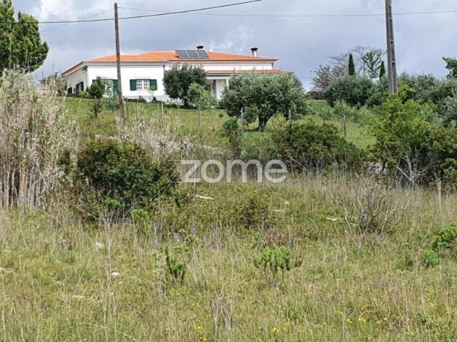 Rio Maior Rio Maior 103328740