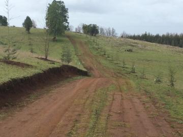 Río Negro, Huilma