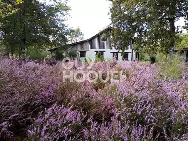 Rion des Landes 40370 Achat / Vente maison 4 pièces t4 au dernier étage