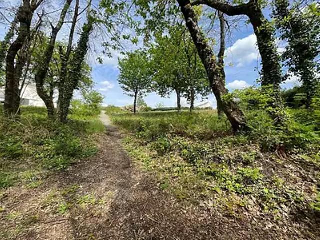 Rion des Landes 40370 Achat / Vente terrain