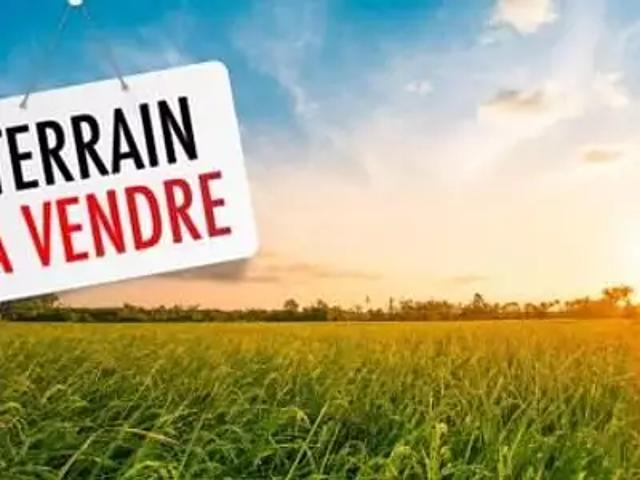 Rion des Landes 40370 Achat / Vente terrain