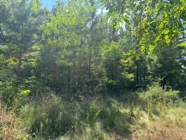 Rion des Landes Vente Terrain 40