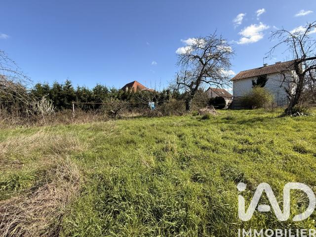 Riorges Vente Terrain 42