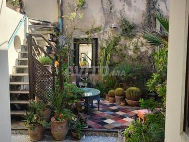 Riad. Nouveau Projet de Vie Médina d'Essaouira