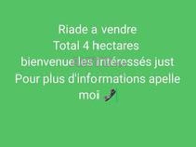 Riad à vendre
